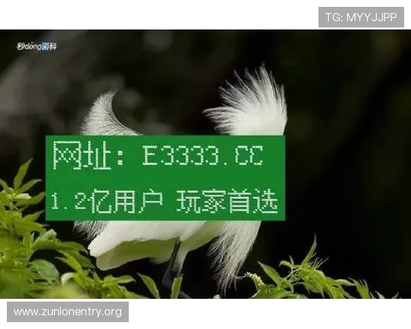 获取凯时网址官方地址需要注意的常见问题与解答